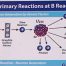 Nuclear Reactions inside B Reactor